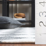 Safavieh Ebony 4'-0" x 6'-0" Rug in Black / Ivory