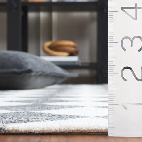 Safavieh Ebony 4'-0" x 6'-0" Rug in Black / Ivory