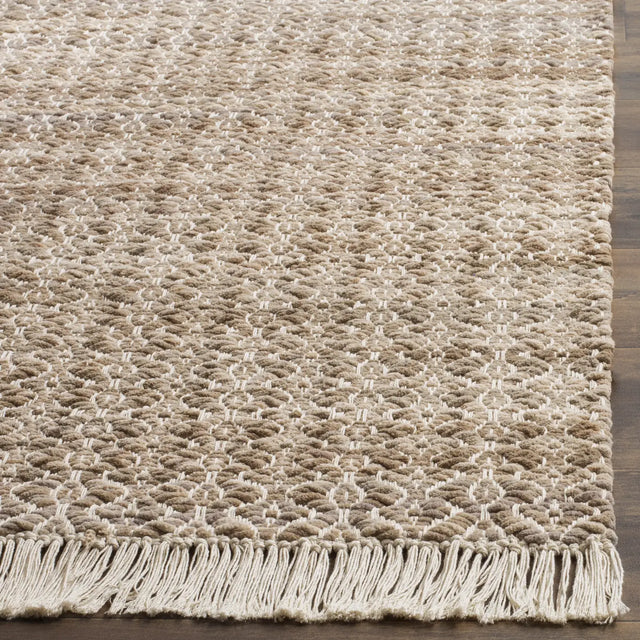 Safavieh Boston 4'-0" x 6'-0" Rug in Beige / Ivory
