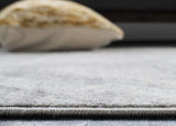 Safavieh Jasper 100 4'-0" x 6'-0" Rug in Grey / Gold