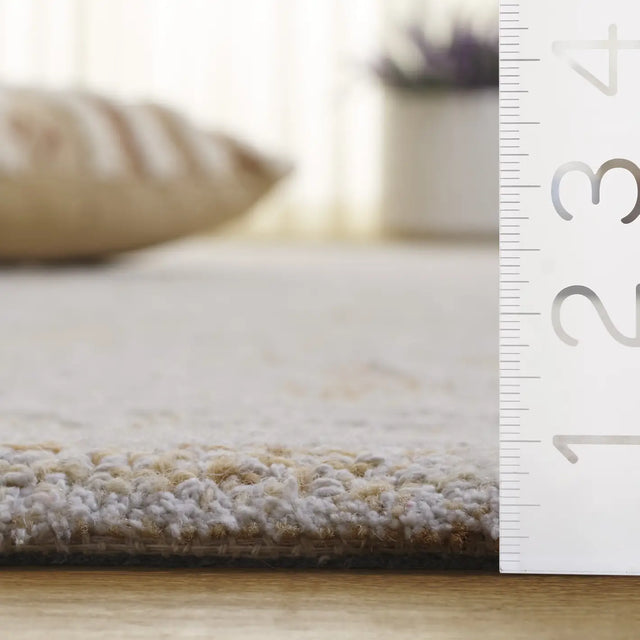 Safavieh Ebony 4'-0" x 6'-0" Rug in Ivory / Gold