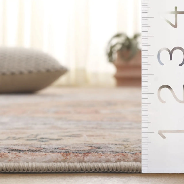 Safavieh Montana 4'-0" x 6'-0" Rug in Beige / Light Brown