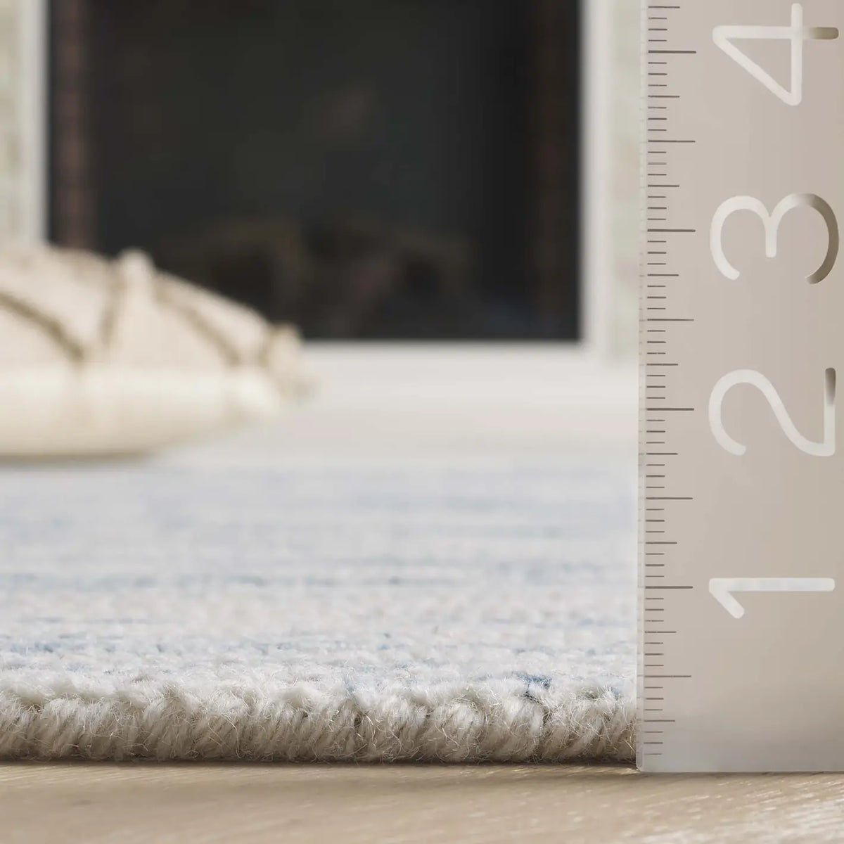 Safavieh Ebony 4'-0" x 6'-0" Rug in Ivory / Light Blue