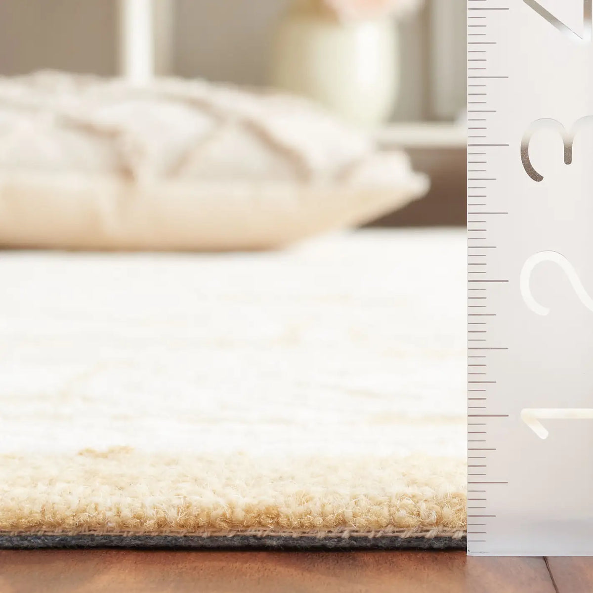 Safavieh Ebony 4'-0" x 6'-0" Rug in Ivory / Gold