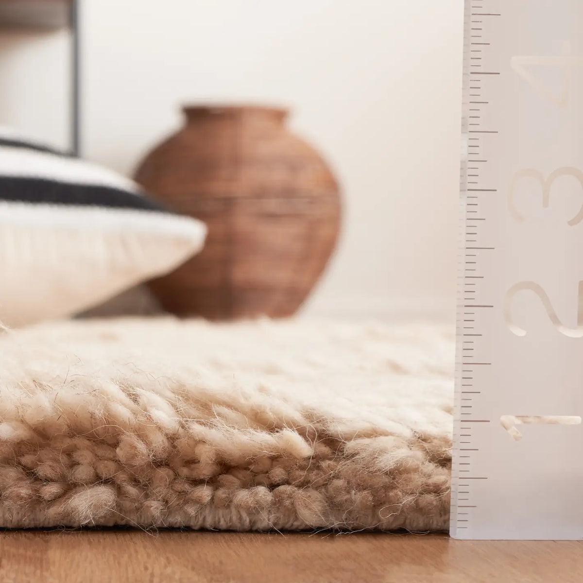 Safavieh Kenya 4'-0" x 6'-0" Rug in Beige