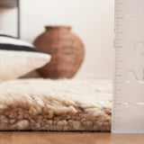 Safavieh Kenya 4'-0" x 6'-0" Rug in Beige