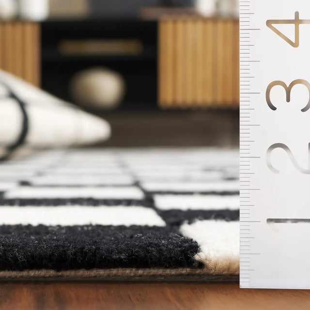 Safavieh Ebony 4'-0" x 6'-0" Rug in Black / Ivory