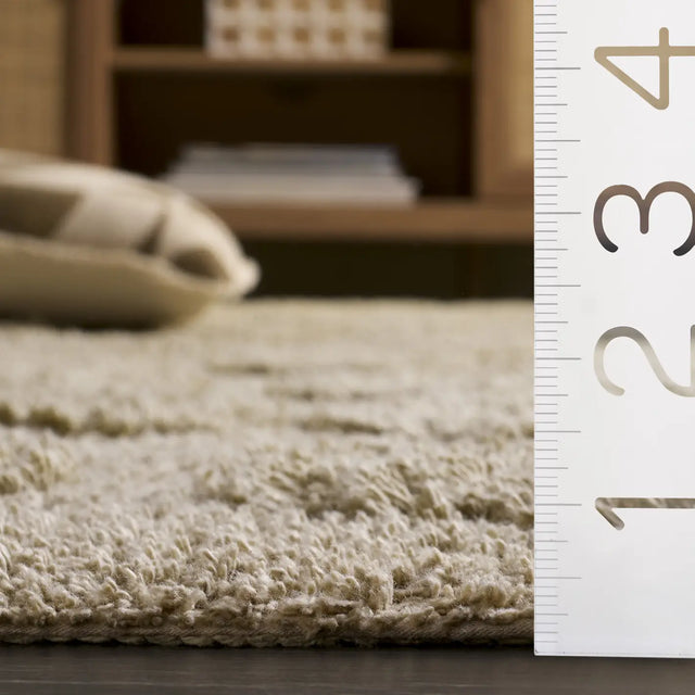 Safavieh Easy Care 4'-0" x 6'-0" Rug in Sage