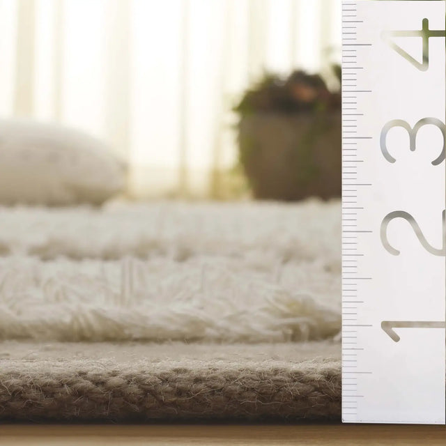 Safavieh Kenya 4'-0" x 6'-0" Rug in Beige / Ivory
