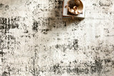 Loloi Alchemy Alc-04 Silver/Graphite Rugs - styled aerial 1