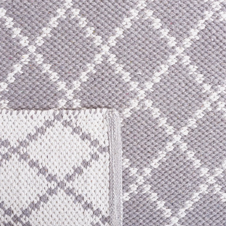 Safavieh Montauk 4'-0" x 6'-0" Rug in Light Grey / Ivory