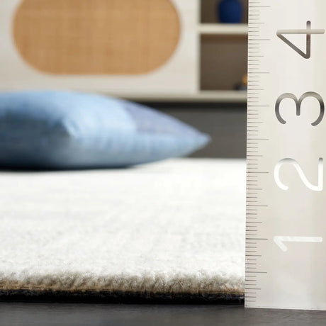 Safavieh Ebony 4'-0" x 6'-0" Rug in Light Grey / Ivory