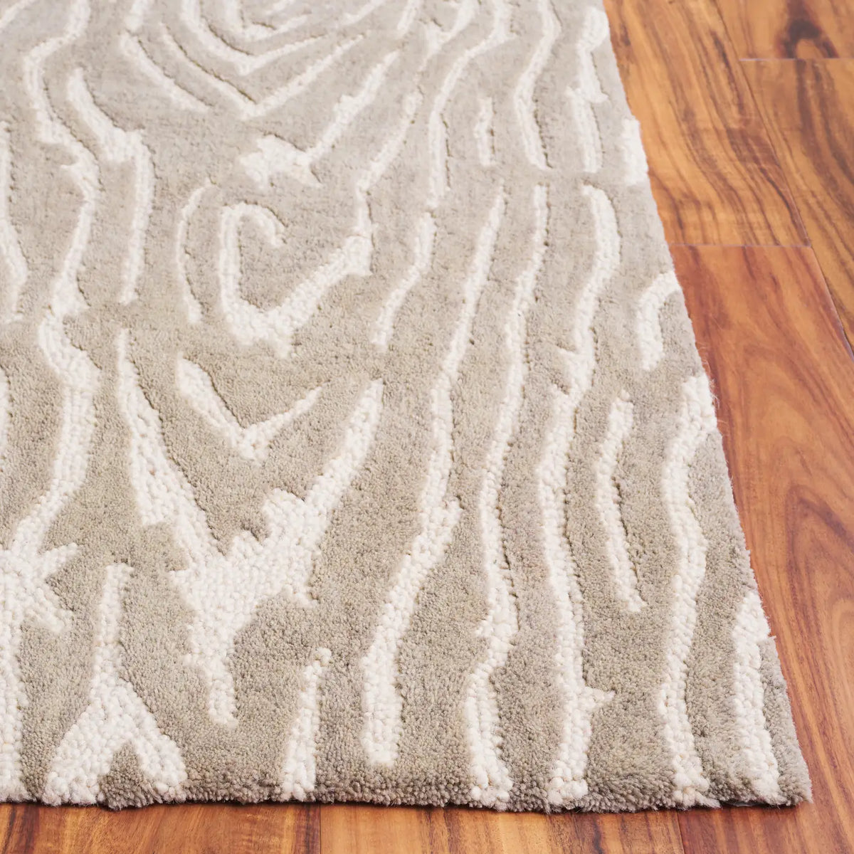 Safavieh Ebony 4'-0" x 6'-0" Rug in Grey / Ivory