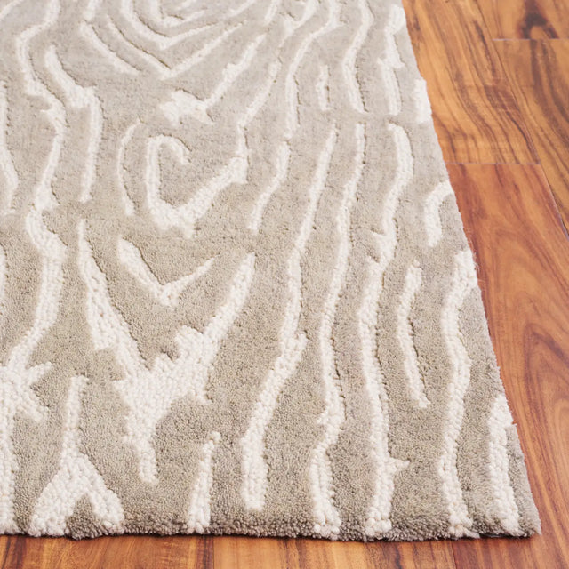 Safavieh Ebony 4'-0" x 6'-0" Rug in Grey / Ivory