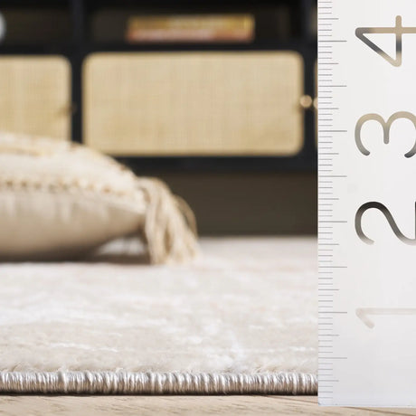 Safavieh Mila 4'-0" x 6'-0" Rug in Ivory / Beige