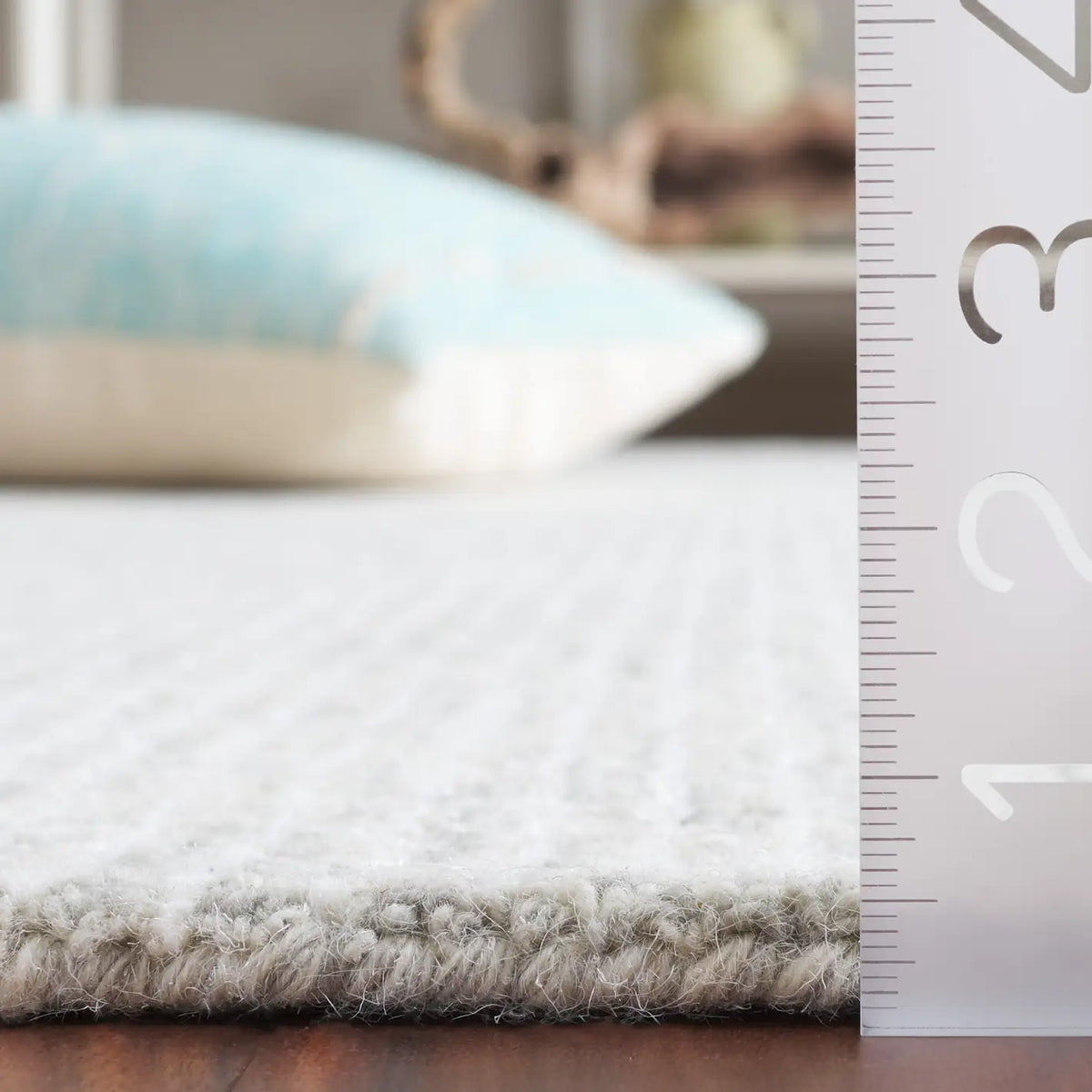 Safavieh Ebony 4'-0" x 6'-0" Rug in Grey / Ivory