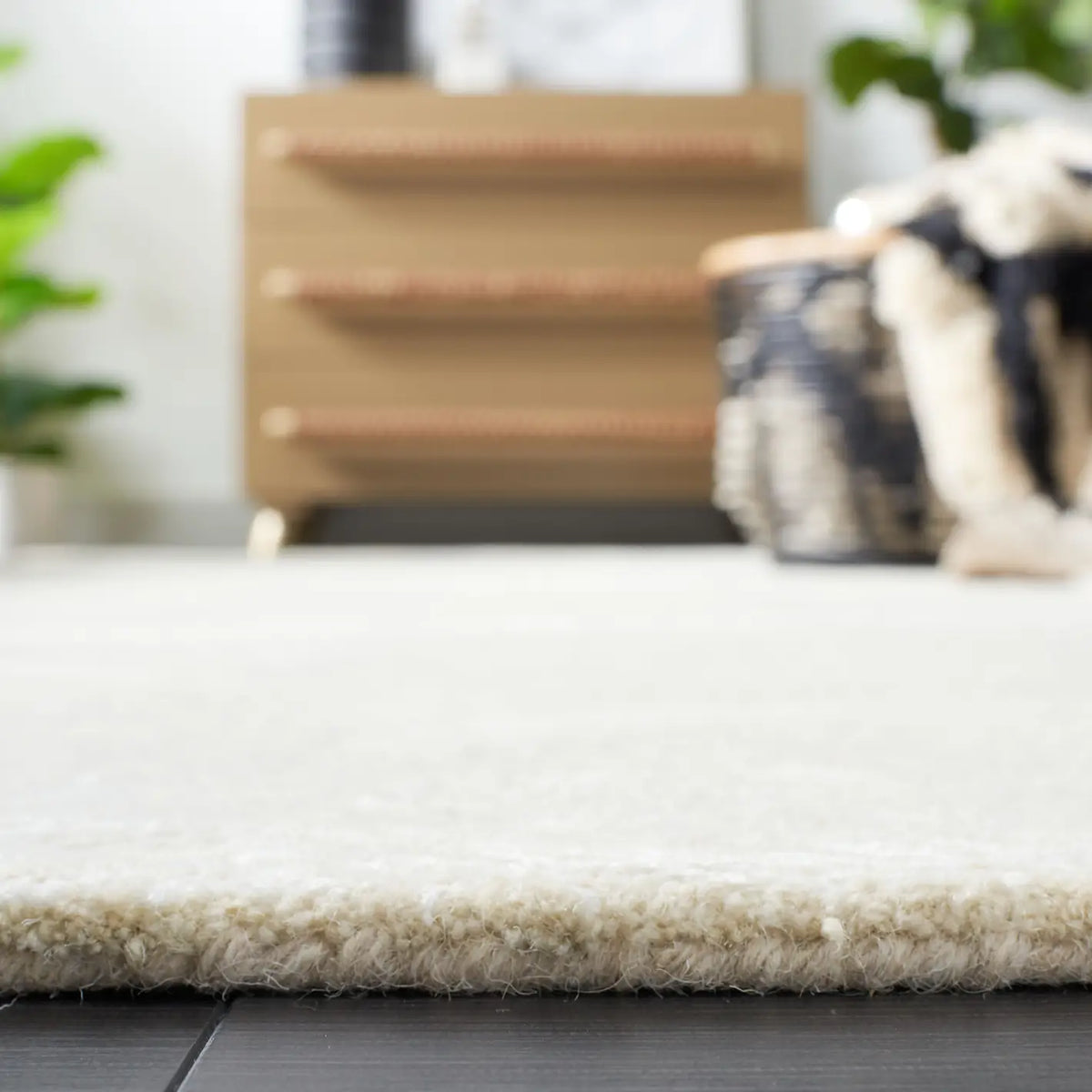 Safavieh Soho 4'-0" x 6'-0" Rug in Ivory / Beige