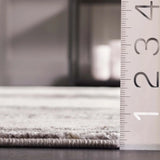 Safavieh Whisper 4'-0" x 6'-0" Rug in Grey / Light Beige