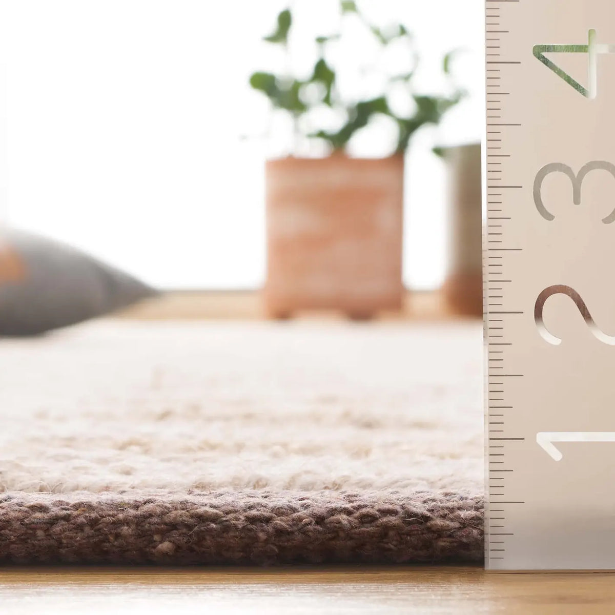 Safavieh Natura 4'-0" x 6'-0" Rug in Beige