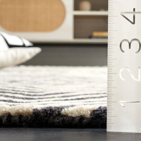 Safavieh Ebony 4'-0" x 6'-0" Rug in Black / Ivory