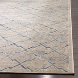 Safavieh Brentwood 4'-0" x 6'-0" Rug in Light Grey / Blue
