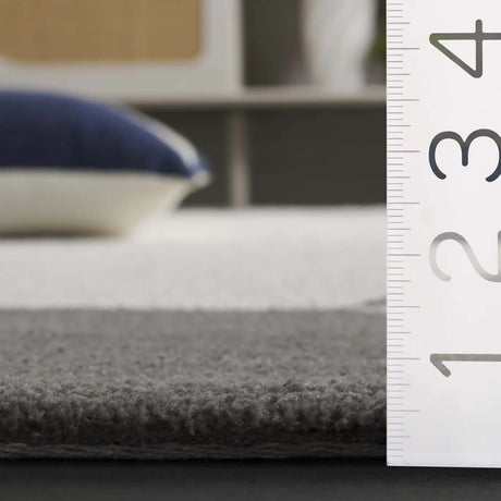 Safavieh Audrey 4'-0" x 6'-0" Rug in Grey / Ivory