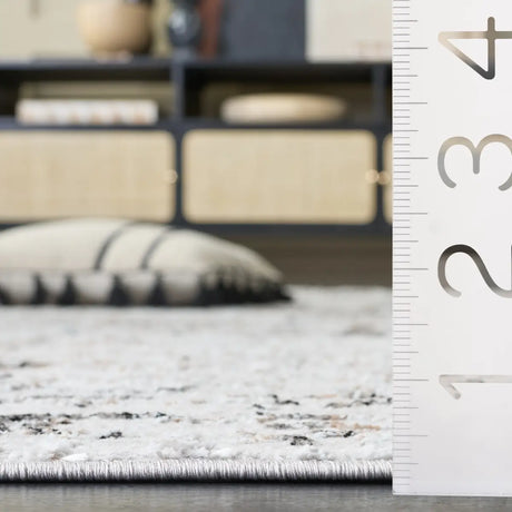 Safavieh Parker 6'-0" x 9'-0" Rug in Light Grey / Black