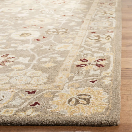 Safavieh Anatolia 4'-0" x 6'-0" Rug in Beige / Sage