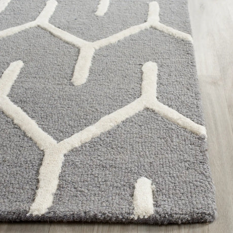 Safavieh Cambridge 2'-6" x 8'-0" Rug in Dark Grey / Ivory