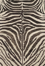 Loloi Masai Mas-01 Java / Ivory Rugs - main flat