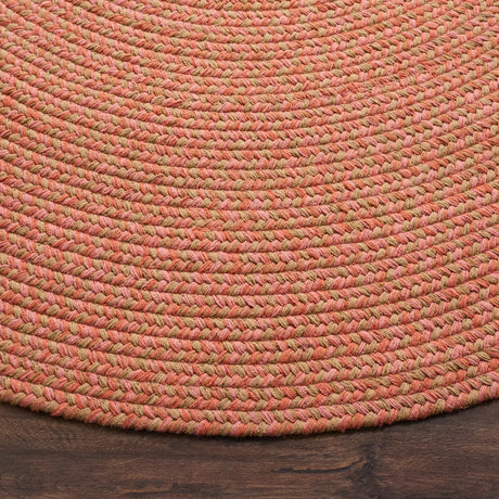 Safavieh Braided 5'-0" x 8'-0" Rug in Multi