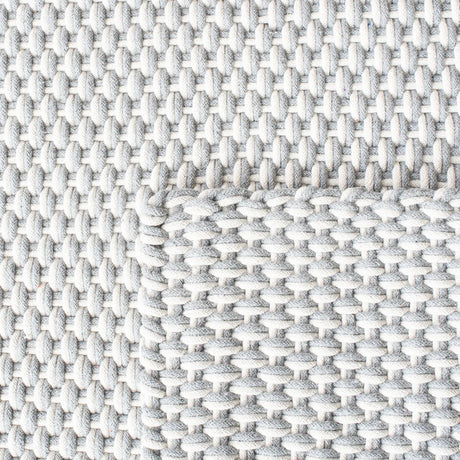 Safavieh Salem 4'-0" x 6'-0" Rug in Grey / Ivory