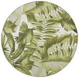 Safavieh Barbados 500 6'-6" x 6'-6" Rug in Ivory / Green