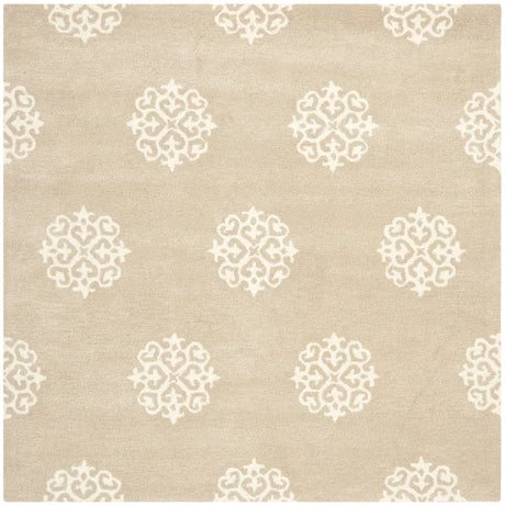 Safavieh Soho 6'-0" x 6'-0" Rug in Beige / Ivory