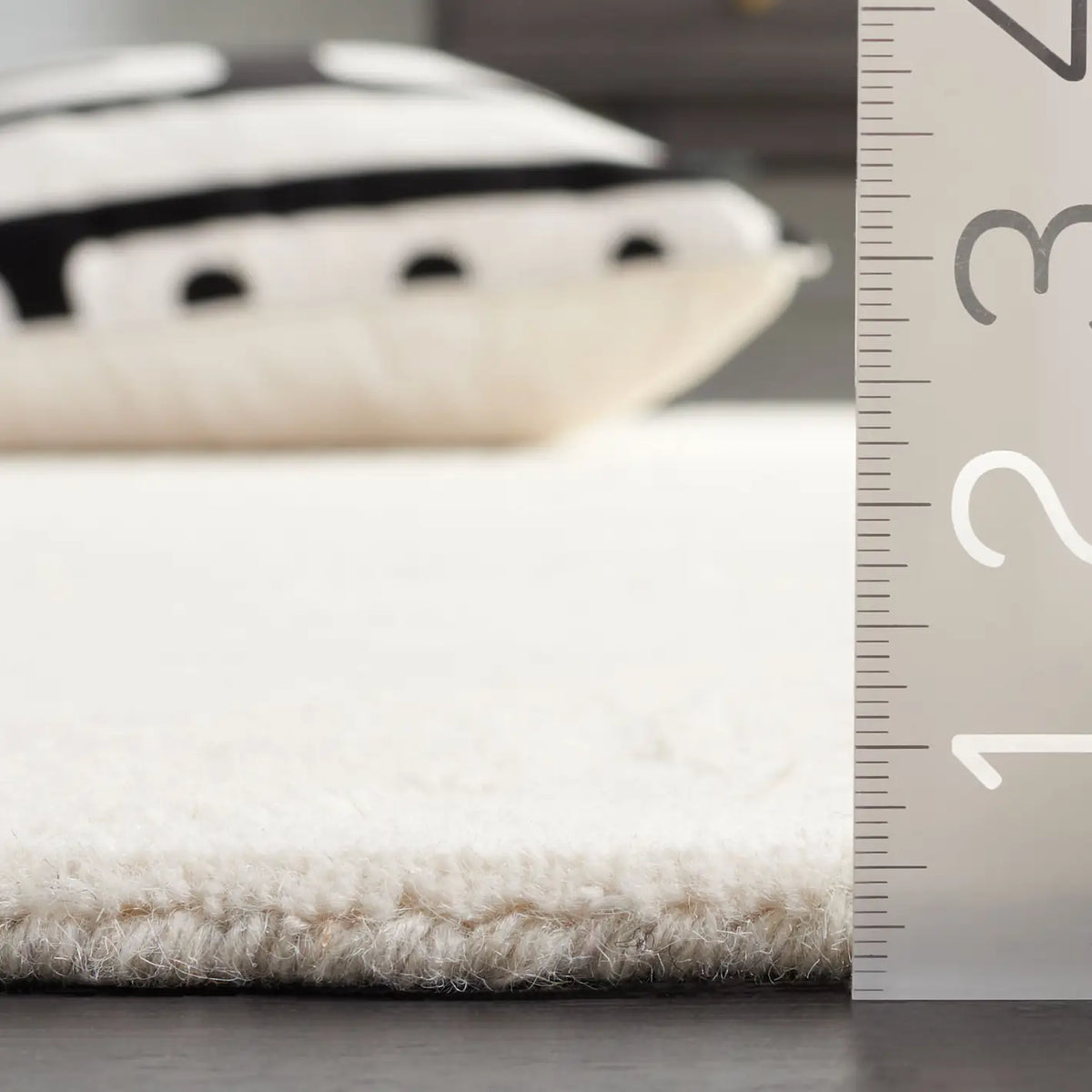Safavieh Ebony 4'-0" x 6'-0" Rug in Ivory