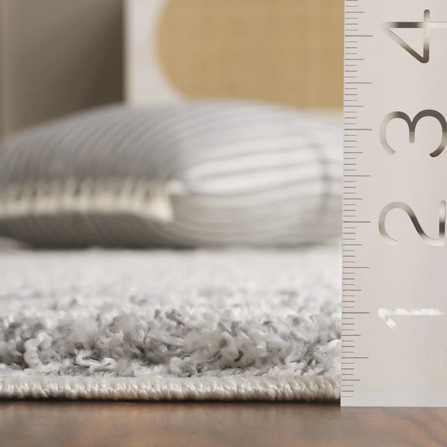 Safavieh Border & Stripe Shag 200 4'-5" x 6'-5" Rug in Ivory / Grey