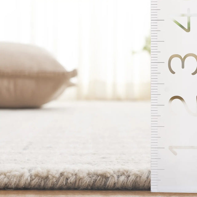 Safavieh Ebony 4'-0" x 6'-0" Rug in Light Grey / Ivory