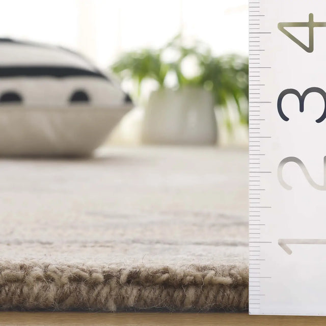 Safavieh Soho 4'-0" x 6'-0" Rug in Beige / Ivory