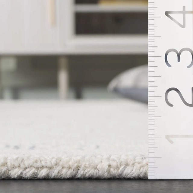 Safavieh Ebony 4'-0" x 6'-0" Rug in Ivory / Grey