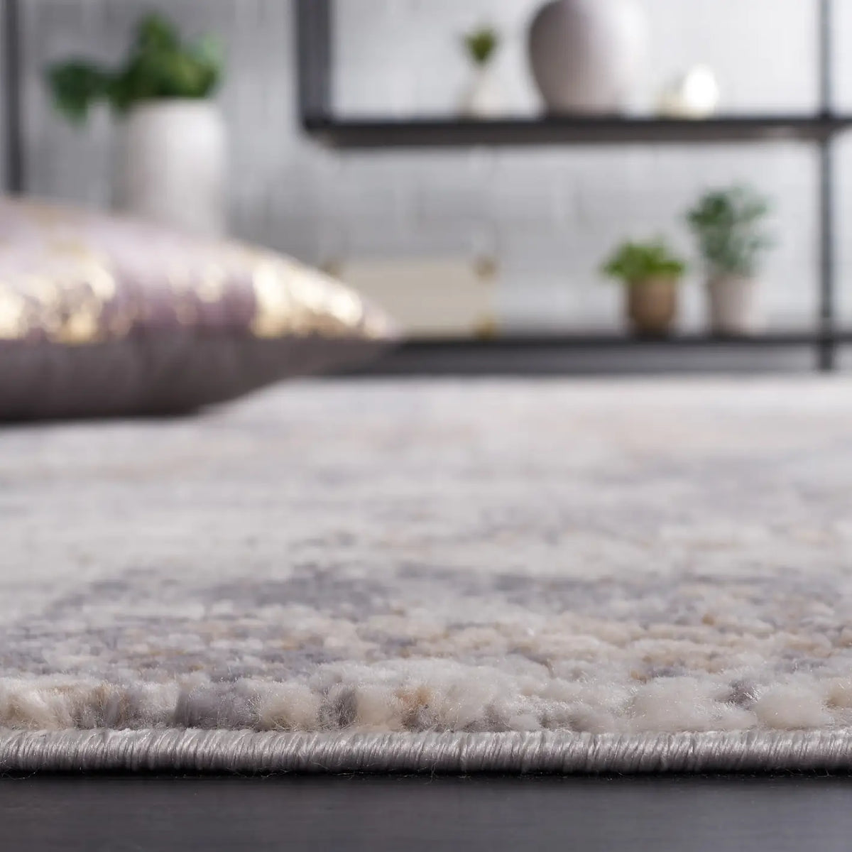 Safavieh Eternal 4'-0" x 6'-0" Rug in Grey / Beige