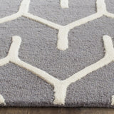 Safavieh Cambridge 4'-0" x 6'-0" Rug in Dark Grey / Ivory