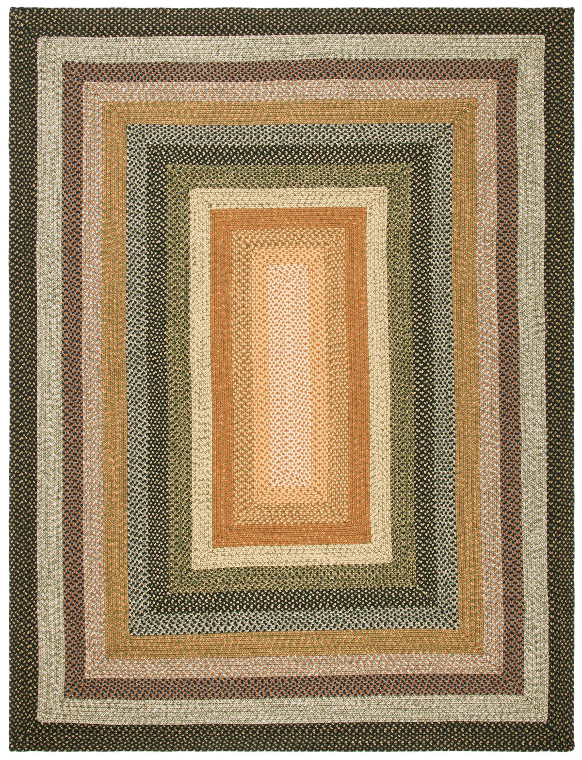 Safavieh Braided 10'-0" x 14'-0" Rug in Multi
