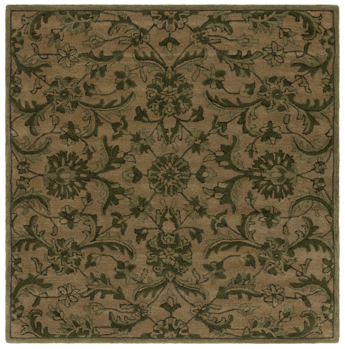 Safavieh Antiquity 6'-0" x 6'-0" Rug in Olive / Green