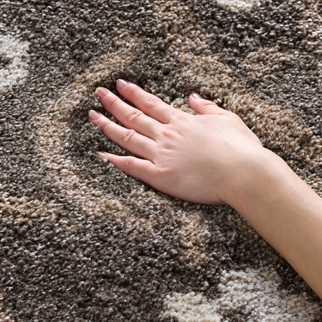 Safavieh Florida Shag 4'-0" x 6'-0" Rug in Smoke / Beige