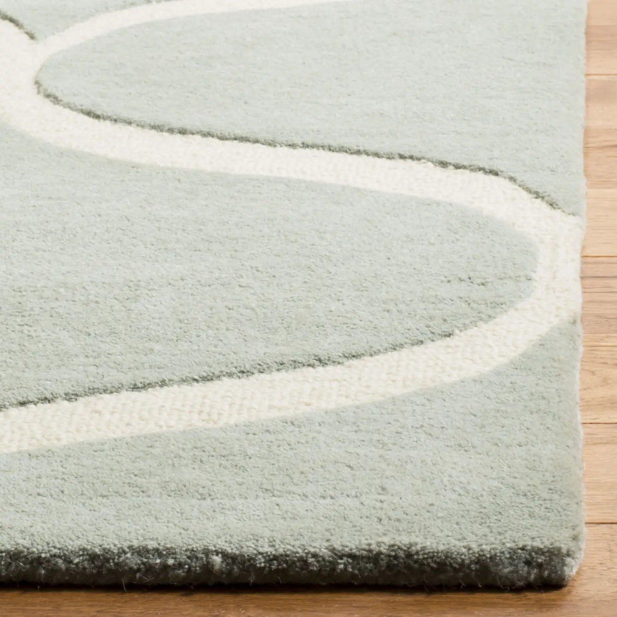 Safavieh Cambridge 4'-0" x 6'-0" Rug in Grey / Ivory