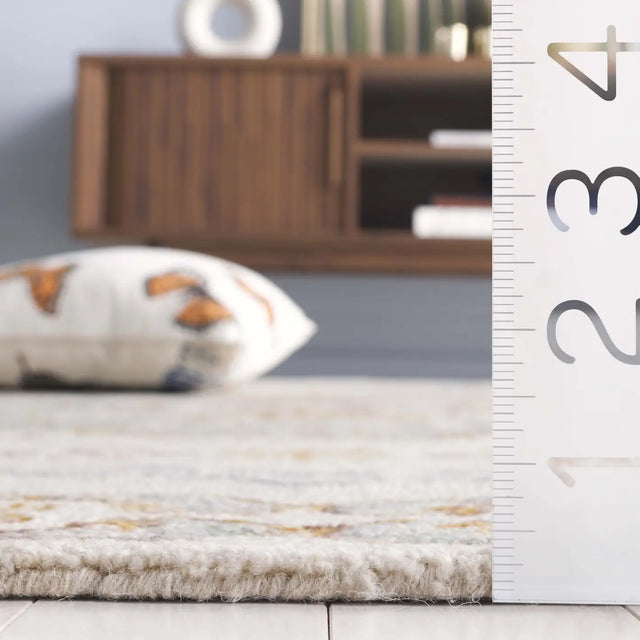 Safavieh Aspen 4'-0" x 6'-0" Rug in Ivory / Light Grey
