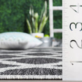 Safavieh Beach House 4'-0" x 6'-0" Rug in Charcoal / Grey