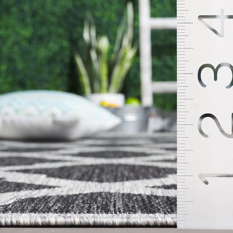 Safavieh Beach House 4'-0" x 6'-0" Rug in Charcoal / Grey
