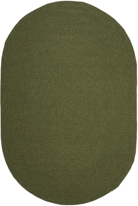 Safavieh Braided 6'-0" x 9'-0" Rug in Green
