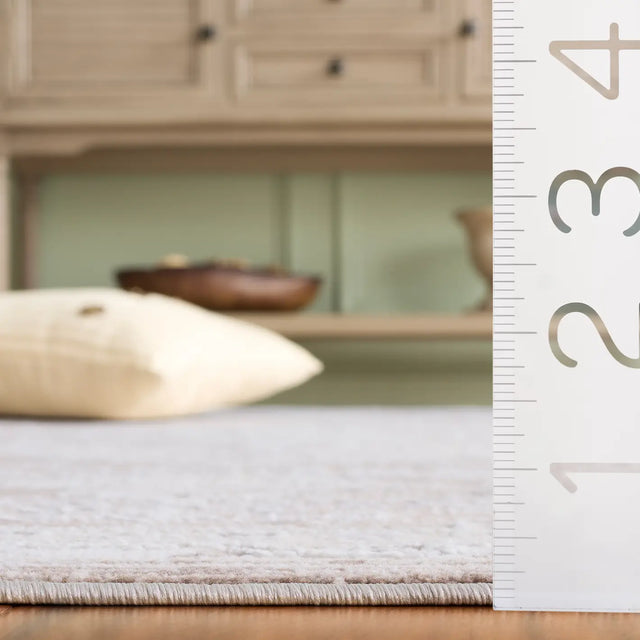 Safavieh Sydney 4'-0" x 6'-0" Rug in Beige / Brown Ivory